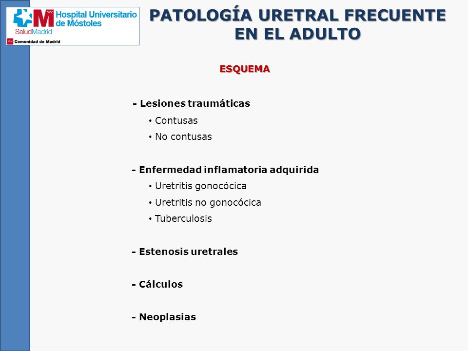 uretritis no gonococica slideshare